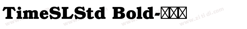 TimeSLStd Bold字体转换